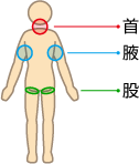 リンパ節の図解